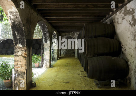 Espagne, Andalousie, province de Cadix, Jerez de la Frontera, sherry producteur González-Byas, Banque D'Images