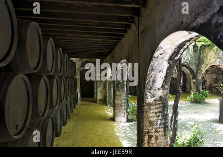 Espagne, Andalousie, province de Cadix, Jerez de la Frontera, sherry producteur González-Byas, Banque D'Images