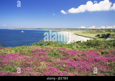 En Grande-Bretagne, les Channel Islands, Île de Jersey, St Ouen's Bay, paysages côtiers, d'Europe, bay, côte, mer, plage, plage de sable fin, destination, vue, horizon, le ciel, les nuages, la végétation, les fleurs sauvages, bell moor, blossom, magenta, déserte, à l'extérieur, Banque D'Images