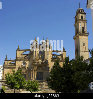 Espagne, Andalousie, province de Cadix, Jerez de la Frontera, cathédrale, Banque D'Images