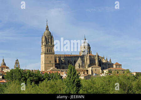 Nouvelle Cathédrale, Salamanque, Castille et Leon, Espagne, Banque D'Images