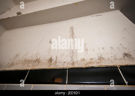 Un mur de salle de bains endommagé à New York montrant la croissance de moisissures le vendredi 23 juin, 2017. (© Richard B. Levine) Banque D'Images