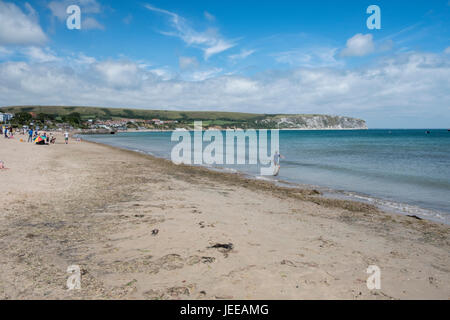 Swanage est une ville et une paroisse civile dans le sud-est de Dorset, Angleterre. Il est situé à l'extrémité orientale de l'île de Purbeck, Banque D'Images