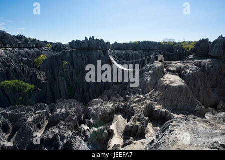 La vue de dessus, le Parc National Tsingy de Bemaraha, à Madagascar Banque D'Images