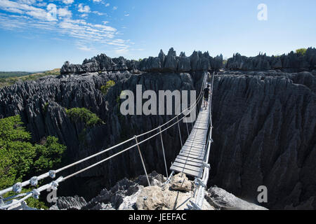 Vue du pont suspendu, le Parc National Tsingy de Bemaraha, à Madagascar Banque D'Images