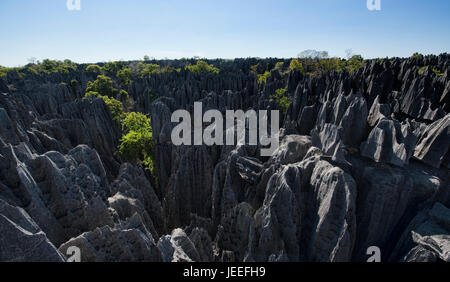 La vue de dessus, le Parc National Tsingy de Bemaraha, à Madagascar Banque D'Images