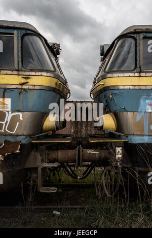 Portrait de deux locos Banque D'Images