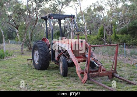 Tracteur Massey Ferguson Banque D'Images