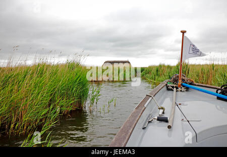 Norfolk Wildlife Trust à bord d'un bateau électrique nager près de l'observation des oiseaux sur les foulques masquer Hickling Broad, Norfolk, Angleterre, Royaume-Uni. Banque D'Images