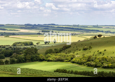 L'West Wiltshire Downs, Wiltshire, England, UK Banque D'Images