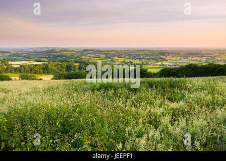 Vue sur les niveaux de Somerset Deerleap sur la pente sud-ouest de l'Mendip Hills près de Wookey Hole, Somerset, Angleterre. Banque D'Images