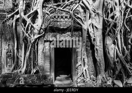 Une porte d'entrée à l'intérieur de la khmère Ta Prohm temple couvert de racines de fig, Banyan et kapok arbres, région d'Angkor, Siem Reap, Cambodge. Banque D'Images