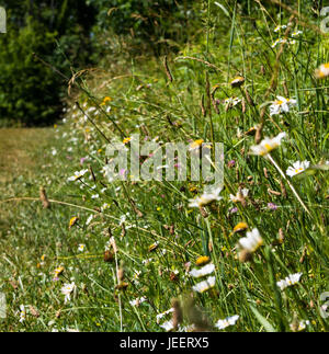 Images de highbanks metro park, Columbus, OH Banque D'Images