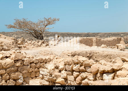 Khor Rori, Gouvernorat de Dhofar, Oman Banque D'Images