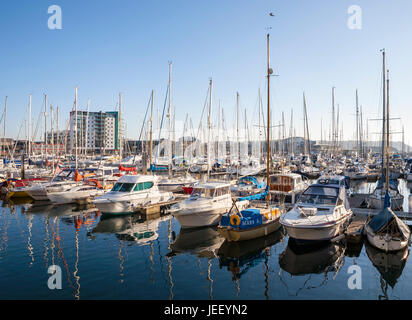 Bien des bateaux amarrés dans Sutton Harbour Marina au coucher du soleil, la barbacane, Plymouth, Devon, Angleterre, Royaume-Uni Banque D'Images