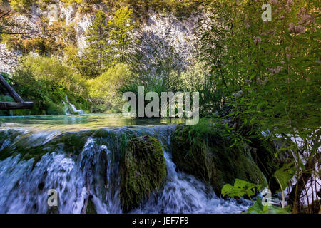 Le parc national lacs Plitvice est l en fonction de la plus grand parc national de la Croatie et en même temps aussi le plus ancien parc national de l'al. Banque D'Images