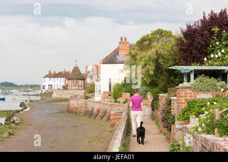 Le joli village côtier de Bosham, West Sussex, England, UK Banque D'Images