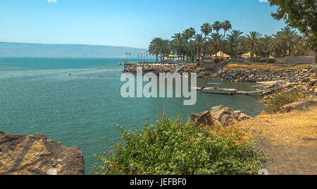 Scenic inlet de palmiers le long de la mer de Galilée ou le lac de Tibériade, Israël. Banque D'Images