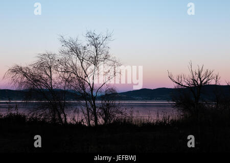 Quelques arbres silhouette près d'un lac au crépuscule, avec de belles couleurs bleu et violet Banque D'Images