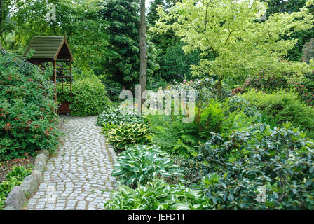 Jardin botanique, la montagne chrétienne Funkie, Hosta, king's fern, Osmunda regalis, Hosta, Botanischer Garten Christiansberg, Funkie (Hosta), Kˆnig Banque D'Images