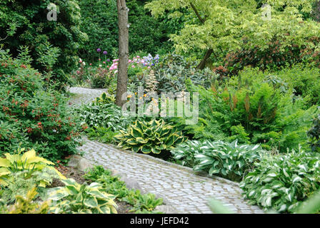 Jardin botanique du roi Christian montagne, fougère, Osmunda regalis, Funkie, Hosta , Botanischer Garten Christiansberg, Kˆnigsfarn (Osmunda regalis), F Banque D'Images