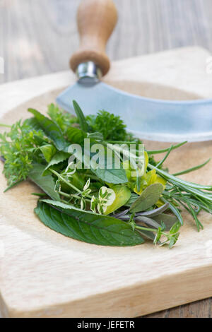 Demi-lune Mezzaluna herb chopper et chopping board une sélection d'herbes. UK Banque D'Images