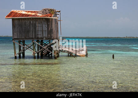 Cabines sur pilotis sur la petite île de Tobacco Caye, Belize Banque D'Images
