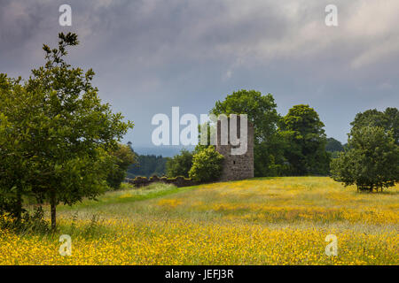 L'ancien château, un 17e siècle tower house construit au début château Crom Estate, Upper Lough Erne, comté de Fermanagh, en Irlande du Nord Banque D'Images