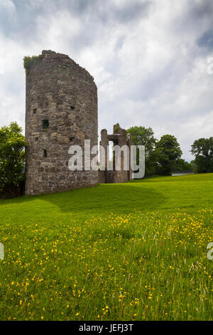 L'ancien château, un 17e siècle tower house construit au début château Crom Estate, Upper Lough Erne, comté de Fermanagh, en Irlande du Nord Banque D'Images