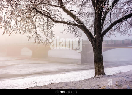 Matin brumeux près du pont à travers la rivière gelée. arbre dans le givre sur le remblai enneigé magnifique lever du soleil paysage urbain. Banque D'Images