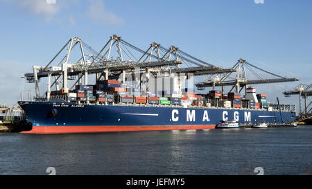 ROTTERDAM - Jan 13, 2012 : CMA CGM Alaska container ship amarré au terminal ECT à Rotterdam. Banque D'Images