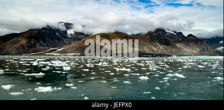 Le Glacier Aialik flux dans une baie du même nom draine le champ de glace Harding Banque D'Images