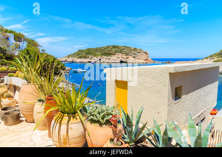 Les plantes tropicales dans des pots en face de petite maison et vue sur la baie de Cala Portinatx, Ibiza island, Espagne Banque D'Images