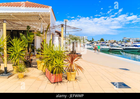 Café décoré de plantes tropicales dans la région de Santa Eularia navigation de plaisance sur l'île d'Ibiza, Espagne Banque D'Images