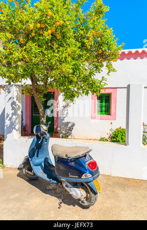 L'île d'Ibiza, ESPAGNE - 20 MAI 2017 : classic Vespa scooter gratuit sous citronnier et housein blanc traditionnel village Sant Carles de Peralta, Ibiza Banque D'Images