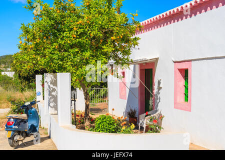 L'île d'Ibiza, ESPAGNE - 20 MAI 2017 : classic Vespa scooter gratuit sous citronnier et housein blanc traditionnel village Sant Carles de Peralta, Ibiza Banque D'Images