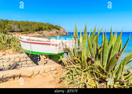 Bateau de pêche colorés à la porte d'entrée de la plage de Cala Nova aux beaux jours de l'été, l'île d'Ibiza, Espagne Banque D'Images