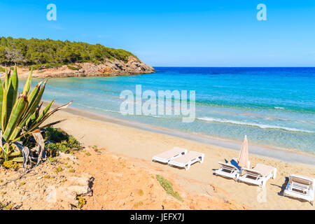 Chaises longues sur la plage de Cala Nova aux beaux jours de l'été, l'île d'Ibiza, Espagne Banque D'Images