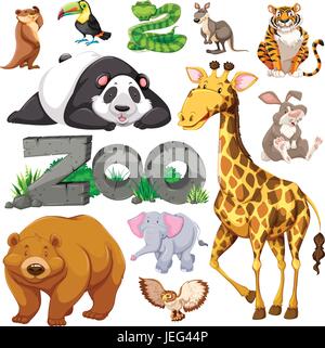 Zoo et différents types d'animaux sauvages illustration Illustration de Vecteur
