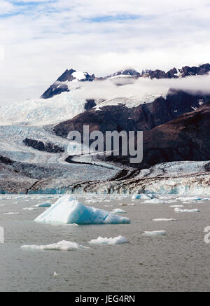 Les icebergs flottent dans l'océan à vêlé off glaciers locaux Banque D'Images