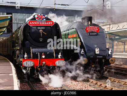 Préservés des locomotives à vapeur. Conserves de locomotives à vapeur de la duchesse de Sutherland et de l'Union de l'Afrique sont représentés à Carlisle, en Angleterre. Banque D'Images