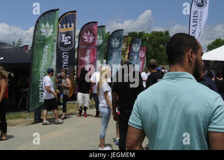 Flint, Michigan, USA. 24 Juin, 2017. Midwest 2017 Cannabis Cup participants profitant du temps magnifique, tout en vérifiant les centaines de fournisseurs. Crédit, Jeffrey Wickett/Alamy Live News. Banque D'Images