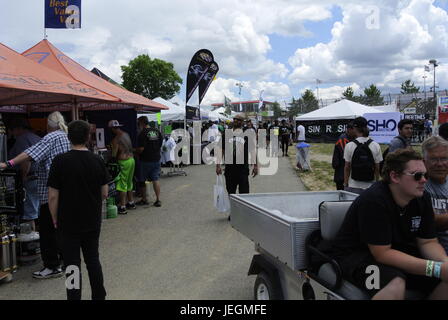 Flint, Michigan, USA. 24 Juin, 2017. Midwest 2017 Cannabis Cup participants profitant du temps magnifique, tout en vérifiant les centaines de fournisseurs. Crédit, Jeffrey Wickett/Alamy Live News. Banque D'Images