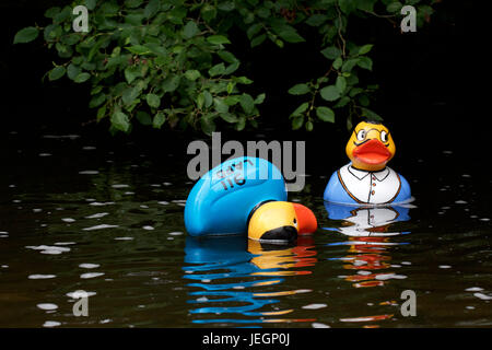 New Mills, Derbyshire, Royaume-Uni. 25 juin 2017. La course de canards annuelle a lieu sur la rivière Goyt pour récolter des fonds pour les écoles de la ZEP et des nouvelles usines Festival. Trois courses ont eu lieu, un autre pour les entreprises, l'une pour l'école et d'ordre général. Crédit : John Fryer/Alamy Live News Banque D'Images