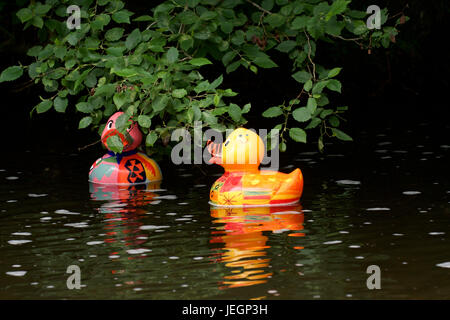 New Mills, Derbyshire, Royaume-Uni. 25 juin 2017. La course de canards annuelle a lieu sur la rivière Goyt pour récolter des fonds pour les écoles de la ZEP et des nouvelles usines Festival. Trois courses ont eu lieu, un autre pour les entreprises, l'une pour l'école et d'ordre général. Crédit : John Fryer/Alamy Live News Banque D'Images