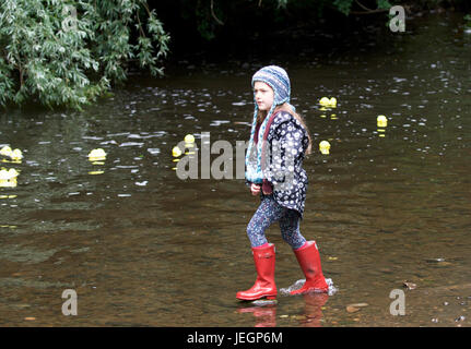 New Mills, Derbyshire, Royaume-Uni. 25 juin 2017. Une jeune fille regarde la course de canards annuel ayant lieu sur le River Goyt pour récolter des fonds pour les écoles de la ZEP et des nouvelles usines Festival. Trois courses ont eu lieu, un autre pour les entreprises, l'une pour l'école et d'ordre général. Crédit : John Fryer/Alamy Live News Banque D'Images