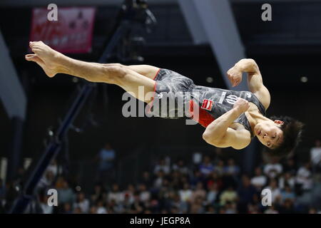 Takasaki Arena, de Gunma, au Japon. 25 Juin, 2017. Wataru Tanigawa, 25 juin, 2017 - La gymnastique artistique : la 71th Japon Tous les appareils de gymnastique artistique championnat, Men's étage final à Takasaki Arena, Gunma, au Japon. Credit : Sho Tamura/AFLO SPORT/Alamy Live News Banque D'Images