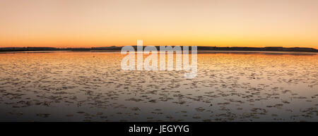 Réserve naturelle du lac Federsee Federsee, au lever du soleil, près de swamp Bad Schussenried, en Haute Souabe, Bade-Wurtemberg, Allemagne Banque D'Images