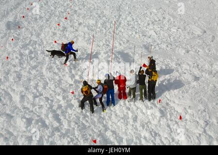 Recherche de Avalanch Banque D'Images