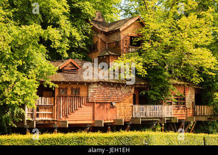 Maison de l'arbre d'Alnwick. Jardin d'Alnwick maison de l'arbre dans le Northumberland, dans le Nord de l'Angleterre. La maison de l'arbre ouvert en 2004 est l'un des plus importants au monde. Banque D'Images